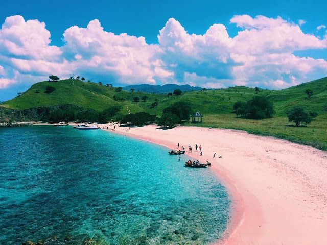 Pantai Pink Lombok